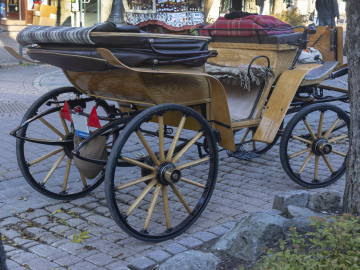 Horse-drawn Carriage in Zakopane