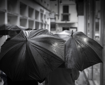 Black and white photo of umbrellas on a rainy day