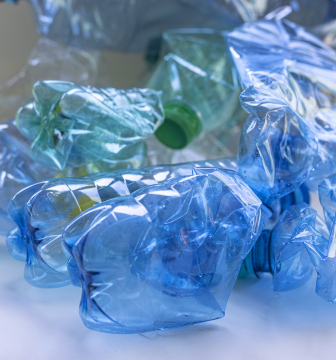Plastic Beverage Bottles, PET, Recycle, Free Image