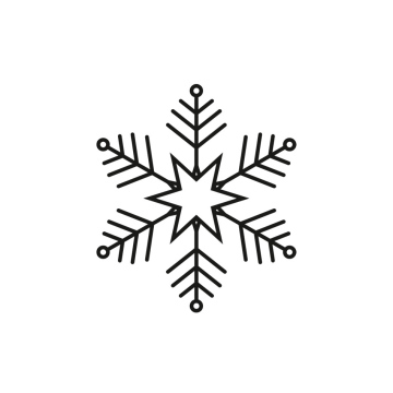 Snowflake Icon