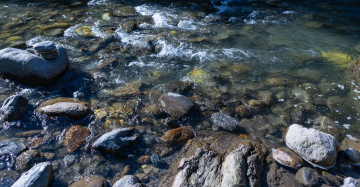 Stones in the river
