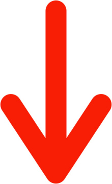 Red Arrow directed to the bottom