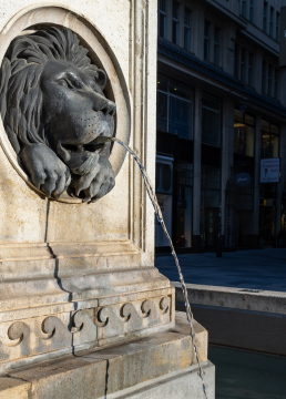 The head of a lion, city fountain, Vienna