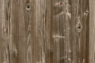 Background Of Gnarled Planks