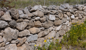 A wall of field stones
