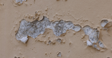 Paint and plaster damage on the facade of the building