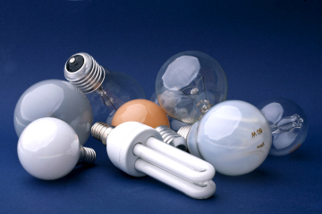 Different Light Bulbs