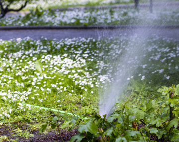 Watering the Garden, Sprinkler