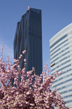 DC Tower In Vienna