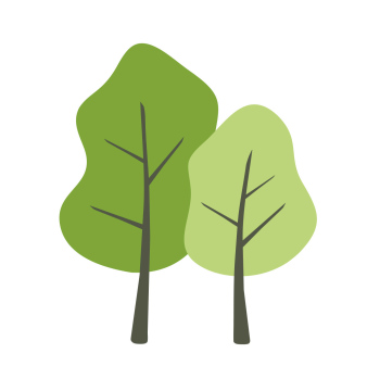 Two deciduous trees, vector