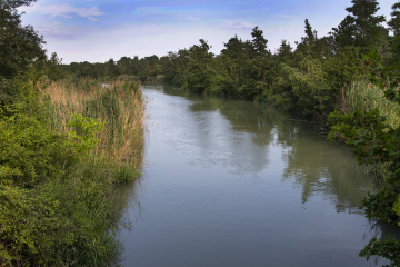 Canal With Natural Shores And Vegetation