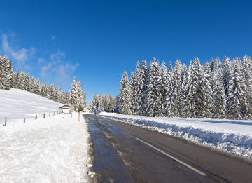 Winter Landscape and Melting Snow on the Road