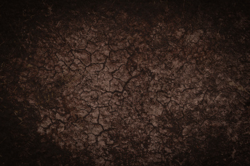 Cracked soil texture, vignette