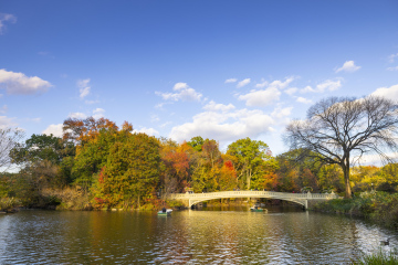 Bridge over the pond in Central Park, New York
