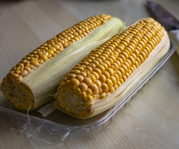 Corn Cob on the Kitchen Table