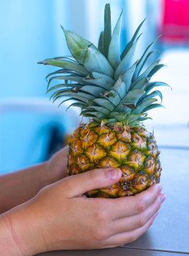 Pineapple in your hands