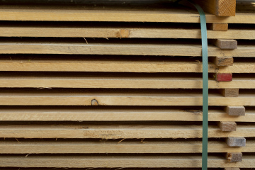 Boards In Stacks For Drying