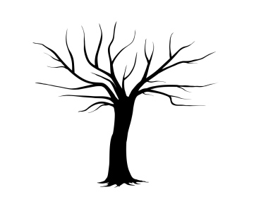 Tree Without Leaves vector image