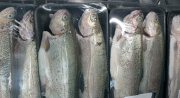 Packaged Fish on a Shop Shelf