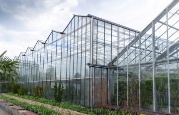 Greenhouses with Plant Crops