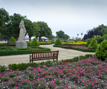 Park With Benches