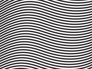 Wavy lines, black and white vector