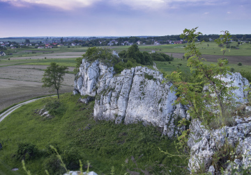 Rocks in the Krakow-Częstochowa Upland