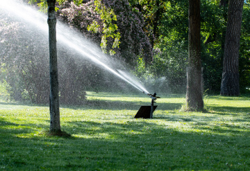 Watering in the park