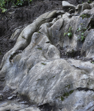 Erosion of the Rock - free photo