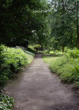 Avenue in the Park