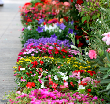 Street Stand with Flowers