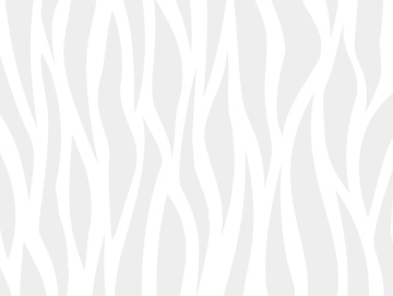 Gray Vector Background, zebra