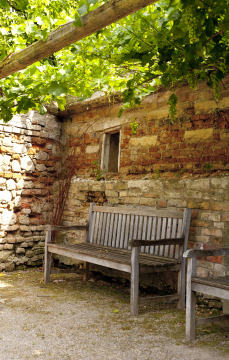 A bench in the Shady Garden