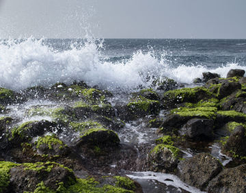 Sea Foam