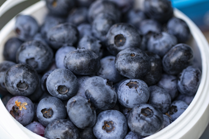 Fresh blueberries