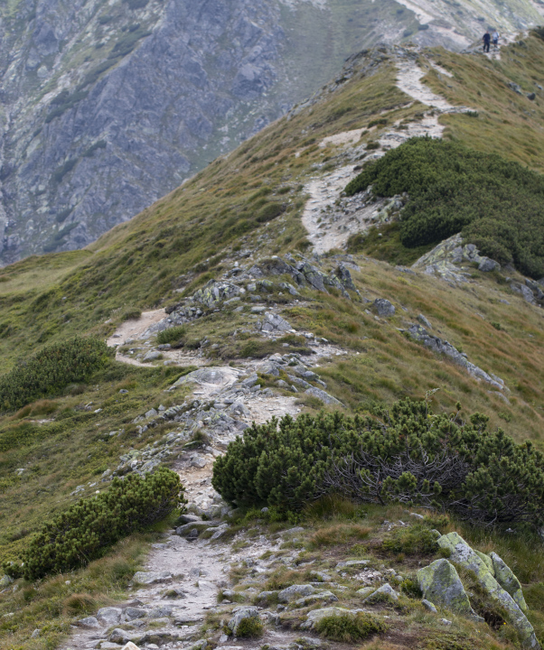 Path in the mountains