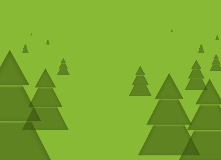 Green Coniferous Trees