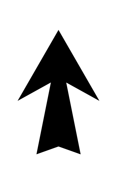 Black Arrow with Sharp Arrowhead
