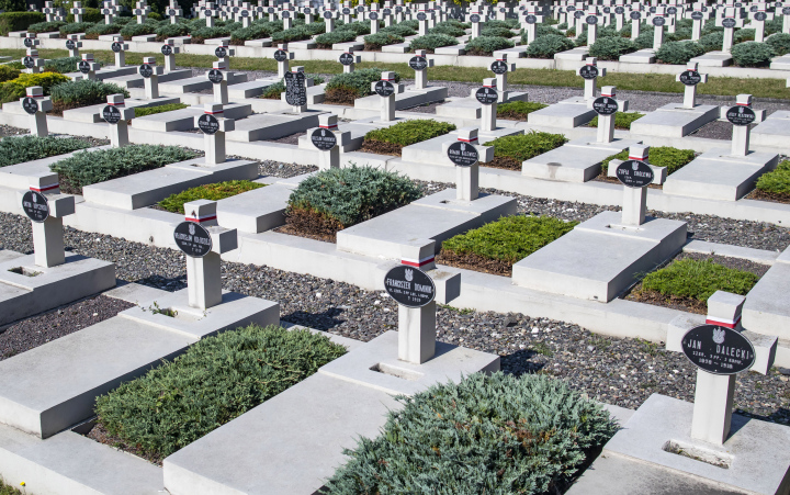 Crosses at the Cemetery of the Lviv Eaglets