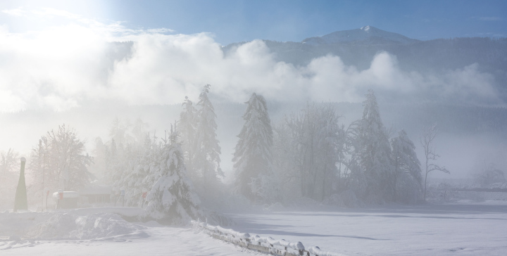 Winter landscape behind the fog