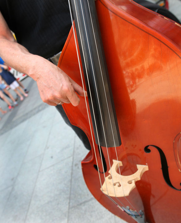 Double-bass game