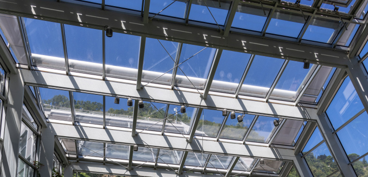 Roof windows. Winter Garden.