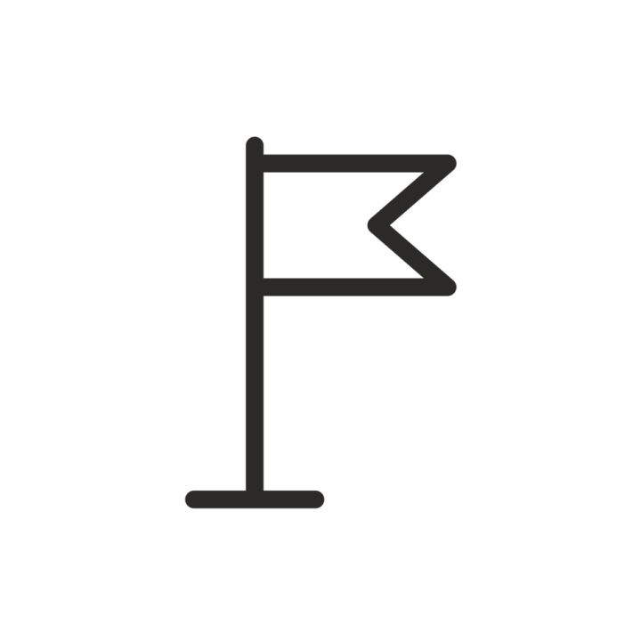 Flag, place, location icon, vector