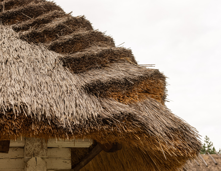 Thatch on the Roof