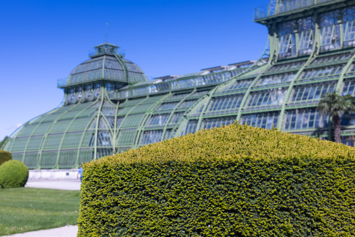 Palm House in Schönbrunn