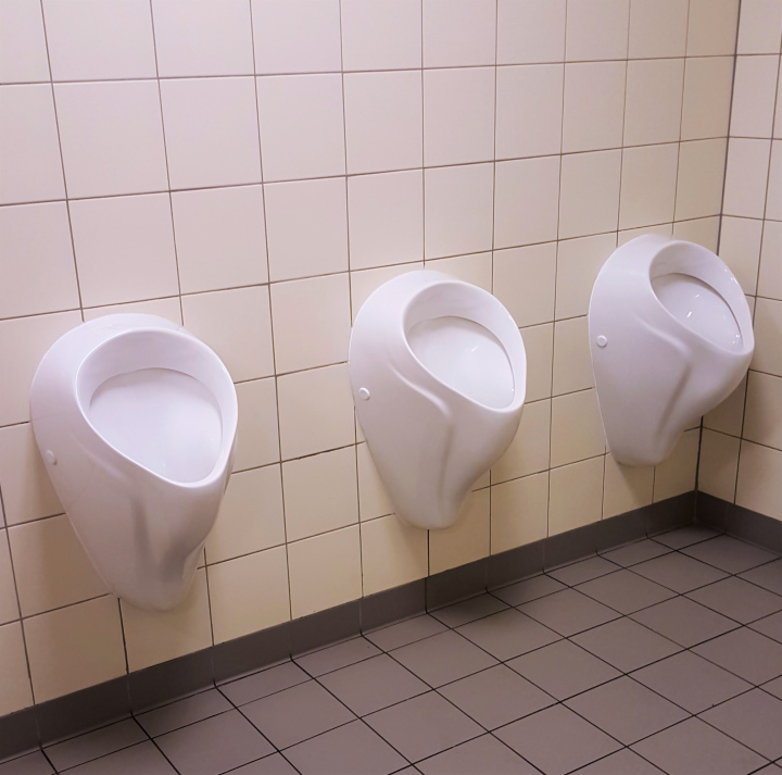Urinals in the toilet