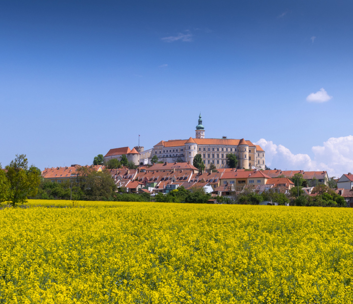 Castle in Mikulow free photo