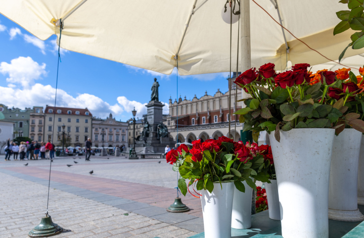 Roses for sale, florists on the Market Square in Krakow