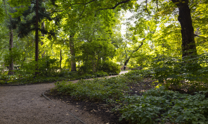 City Park, Botanical Garden, walking alley