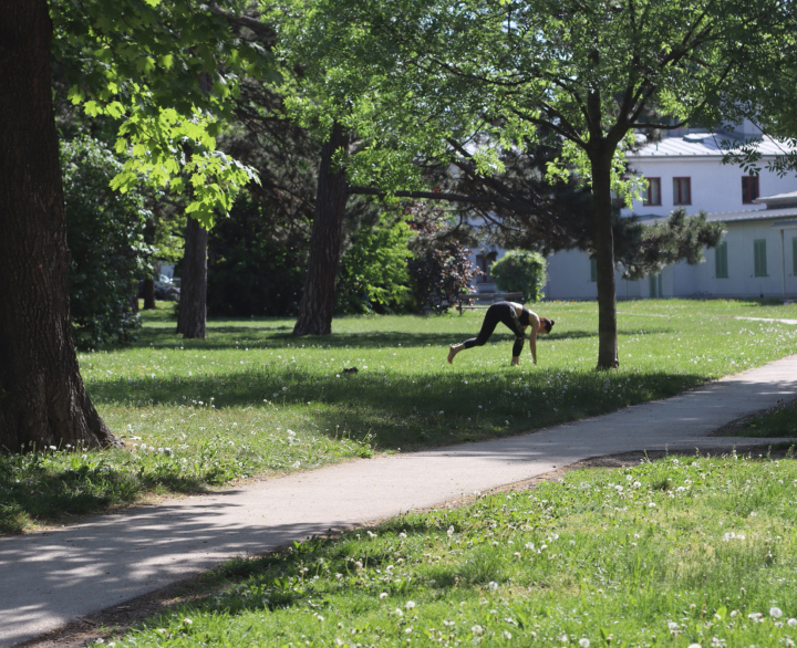 Exercises In The Park